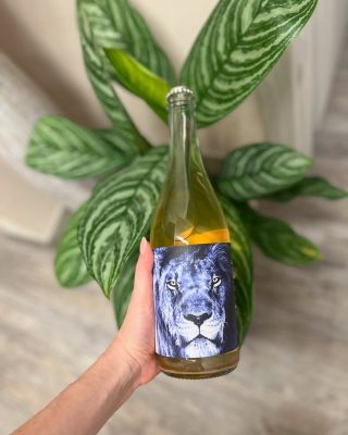 Šelma 24 🦁 Konečně jste se dočkali nového Pet-Natu! Co na něj říkáte? Etiketa našeho LVA Samby, vznikla ve spolupráci s...